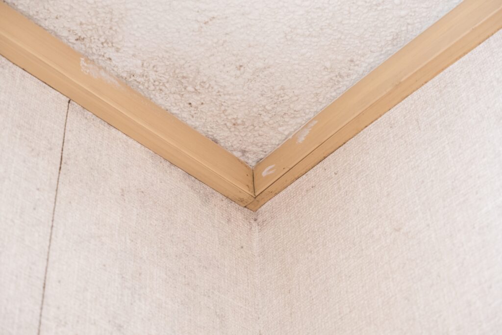 天井から水漏れする原因は？