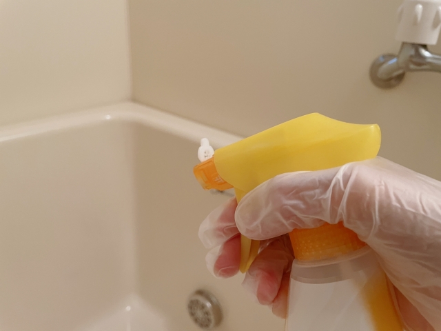 お風呂に黒カビが生える理由とメカニズム