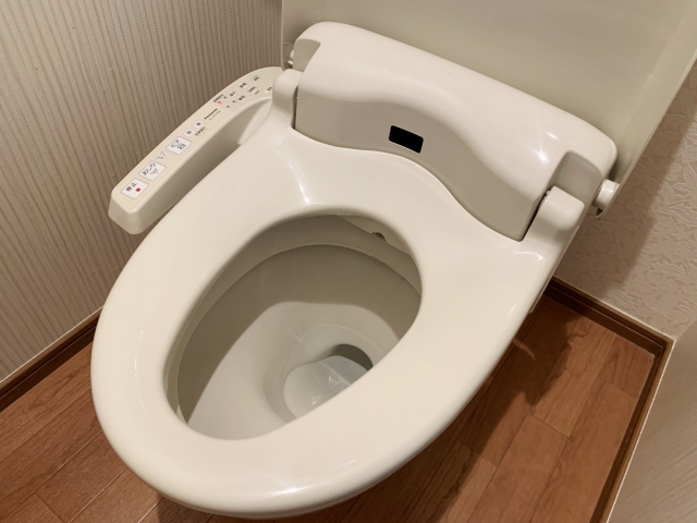 トイレのつまりの原因