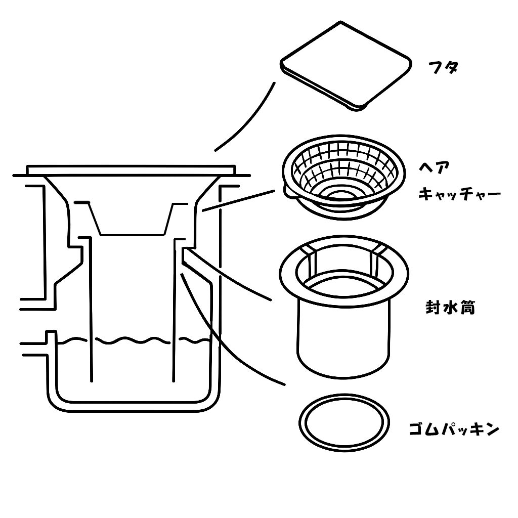 お風呂の排水口の構造と役割(封水筒タイプ)